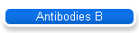 Antibodies B