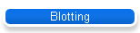 Blotting