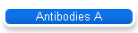 Antibodies A
