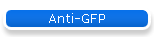 Anti-GFP