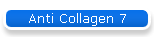 Anti Collagen 7