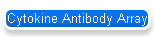 Cytokine Antibody Array