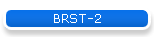 BRST-2