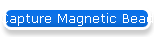 Capture Magnetic Beads