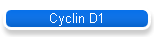 Cyclin D1