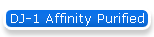 DJ-1 Affinity Purified