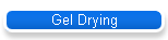 Gel Drying
