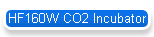 HF160W CO2 Incubator
