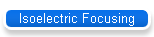 Isoelectric Focusing