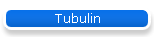Tubulin